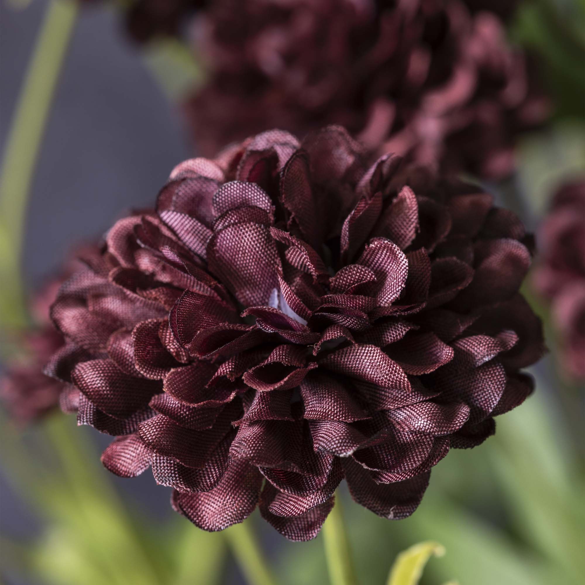 Abigail Ahern – wholesale Artificial flowers – ARTIFICIAL CLOVE STEM4