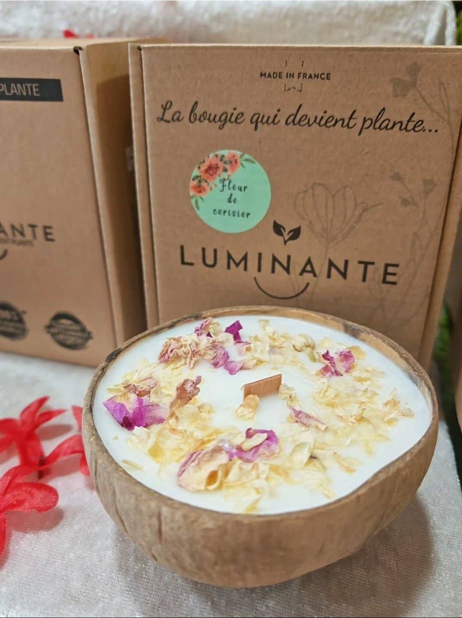 LUMINANTE – Vela em jarro/copo por atacado – A vela que se transforma em planta Flor de Cerejeira modelo coco2
