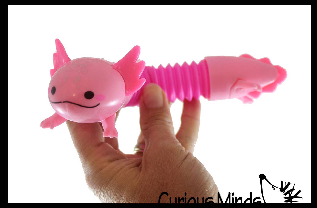 Curious Minds Toys – Brinquedo Fidget - Crianças por atacado – 1 Giro Axolotl Pull e Pop Snap Animal Expandindo Fidget13