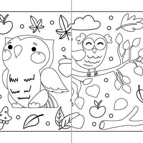 ColorFall Editions - Vendita all'ingrosso Libro da colorare e attività - Bambini e neonati - Libro da colorare animali d’autunno per bambini6