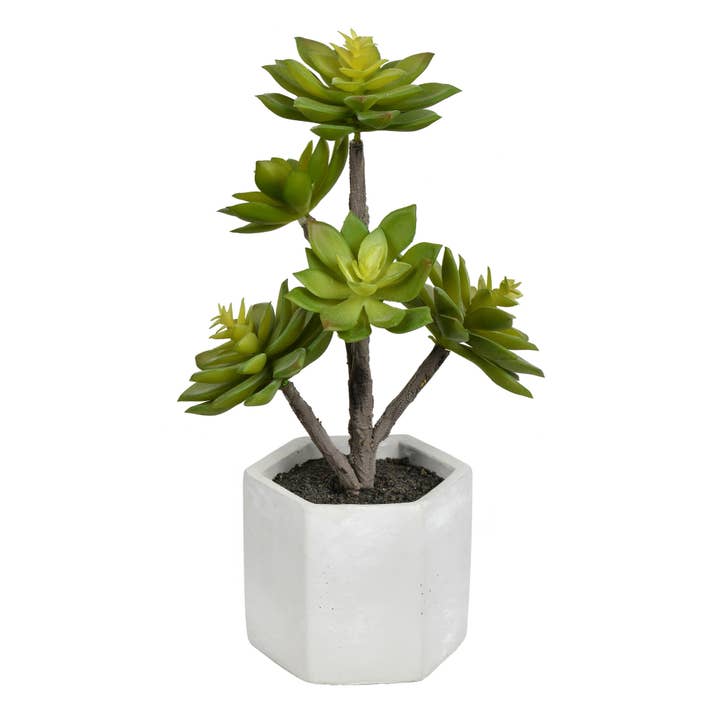 Vickerman Artificial 13"Succulent, Cement Pot for wholesale by Vickerman