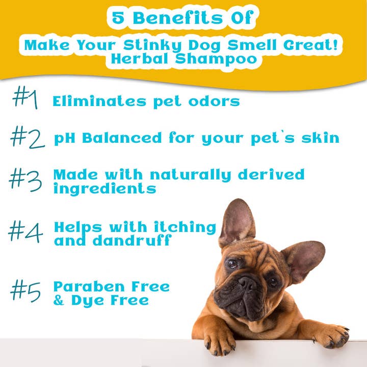 Dahlia Pets - Vendita all'ingrosso Shampoo - Cani - Fai profumare il tuo cane puzzolente! Shampoo alle erbe per cani (8 once)1