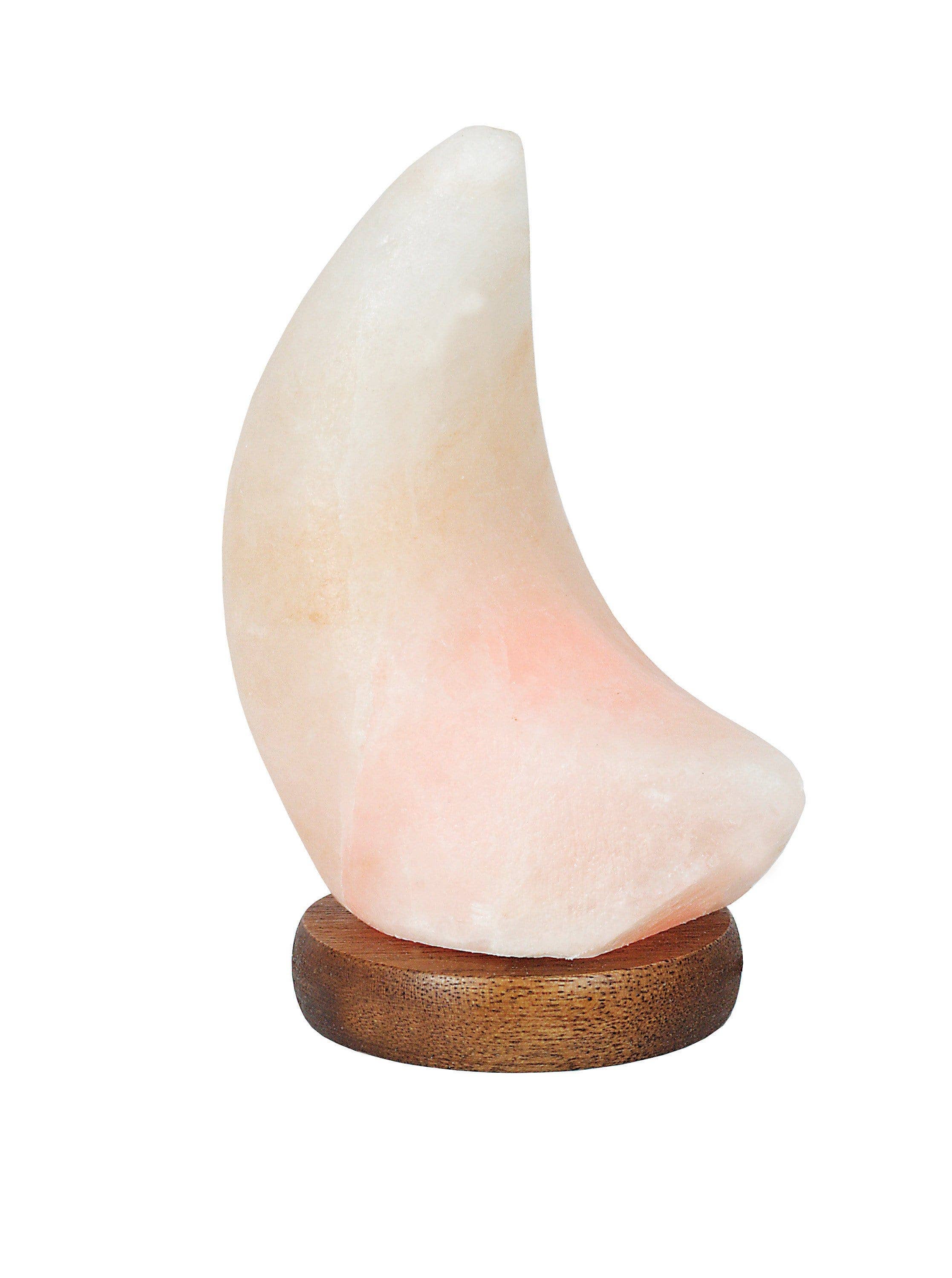 Rock Paradise - Wholesale Salt Lamp - Crystal Himalayan Salt Lamp Moon Light Polished Stone6