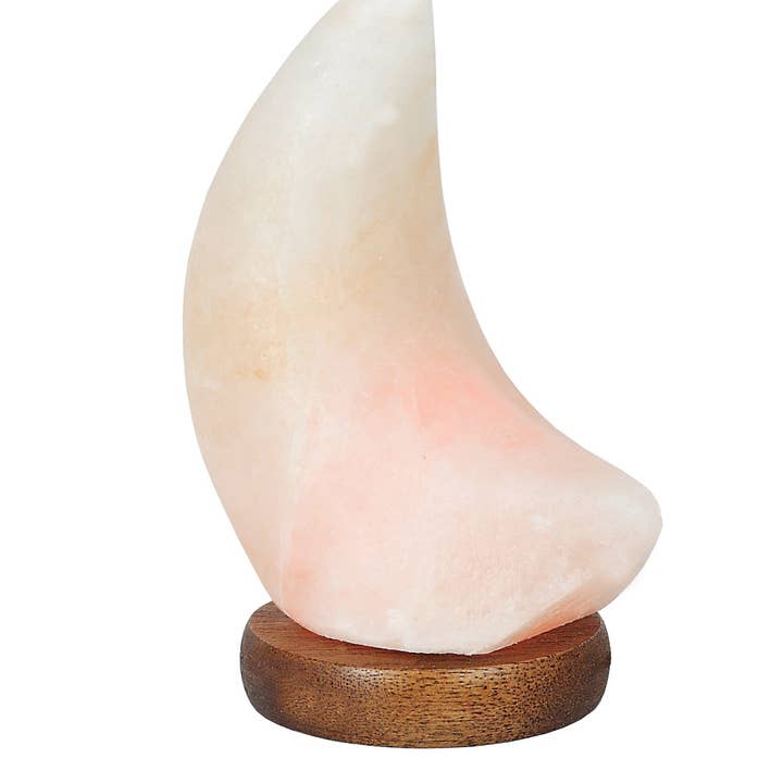 Rock Paradise - Wholesale Salt lamp - Crystal Himalayan Salt Lamp Moon Light Polished Stone6