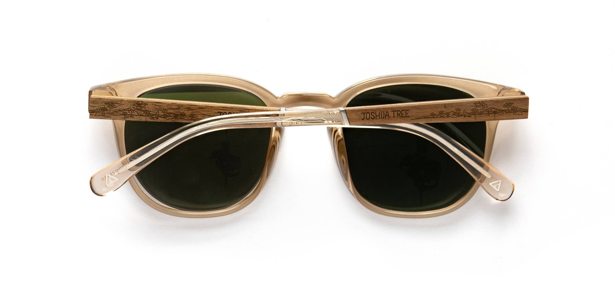 CAMP Eyewear - Wholesale Sunglasses - Unisex - CAMP Topo Sunglasses - Joshua Tree Engraved Edition1