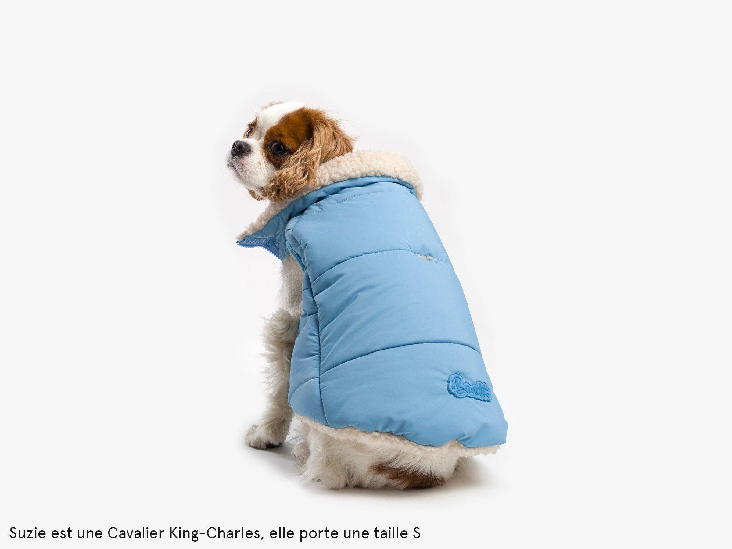 French Bandit - Wholesale Pet Coat - Dog - Thick dog jacket7