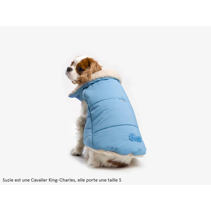 French Bandit - Wholesale Pet Coat - Dog - Thick dog jacket7