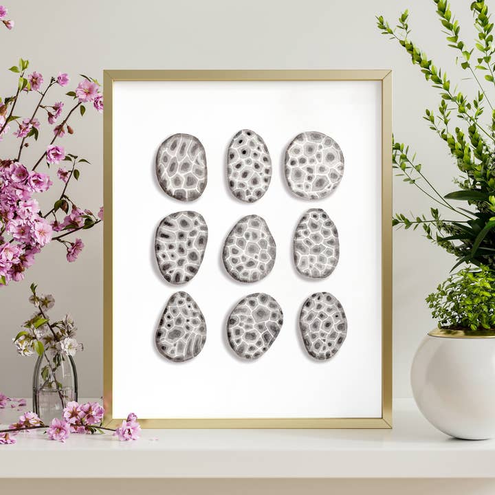 NorthHouse Creative Co. – wholesale Art print – Petoskey Stone Watercolor Art Print6