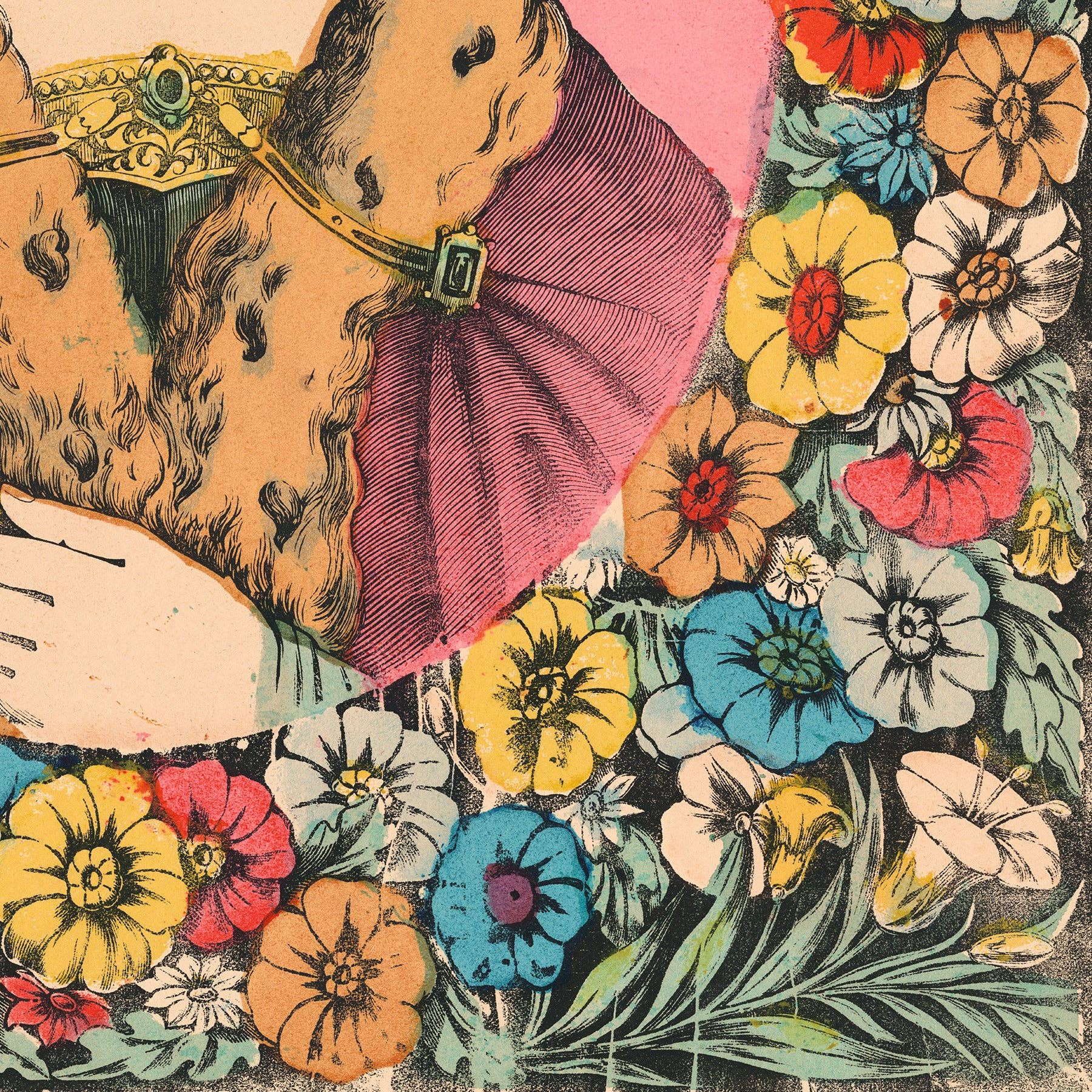 Aster Edition - Wholesale Poster - Poster: Clotilde5