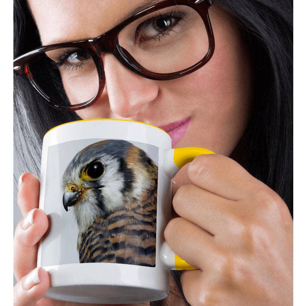 3dRose - Wholesale Coffee Mug - 3dRose, Female American Kestrel in winter ., Mug1