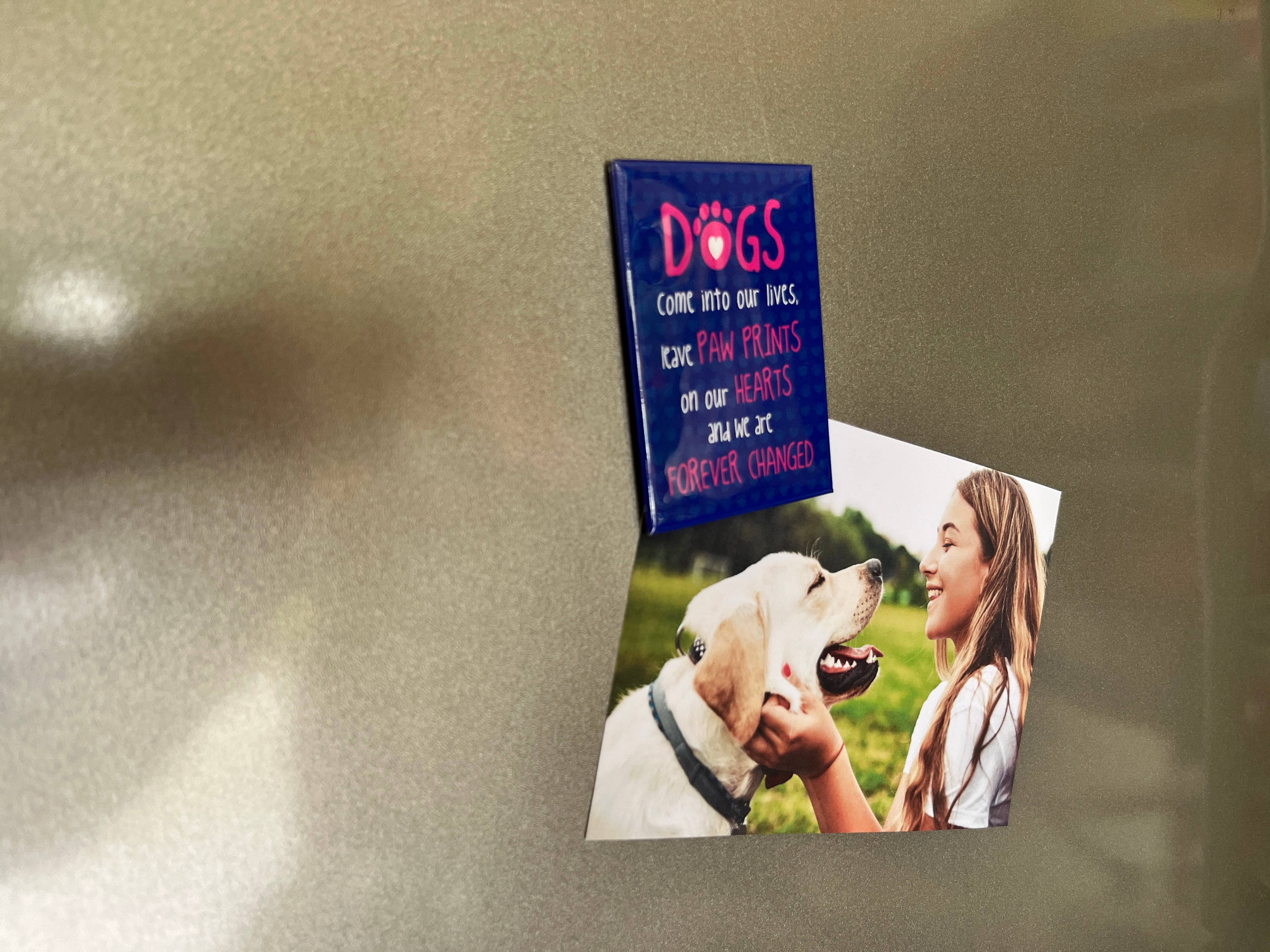 Dog Speak - Wholesale Magneet - Rechthoekige Magneet - Honden Komen in Ons Leven2