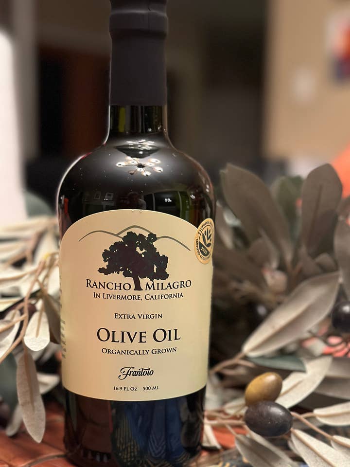 Frantoio Harvest 2023 for wholesale by Rancho Milagro