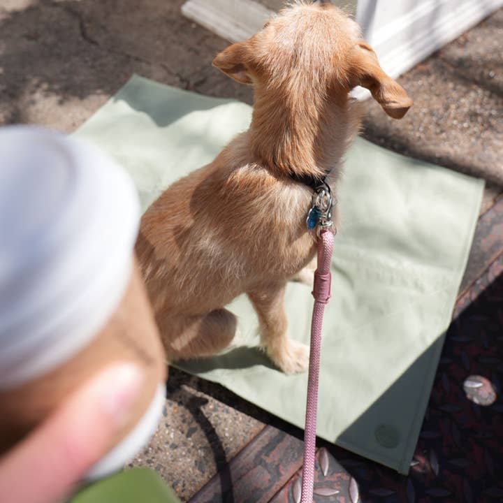 Pups & Bubs - Wholesale Pet Travel Bowl - Dog - Jouir Pet Travel Mat | Non-slip, Light-weight, Foldable10