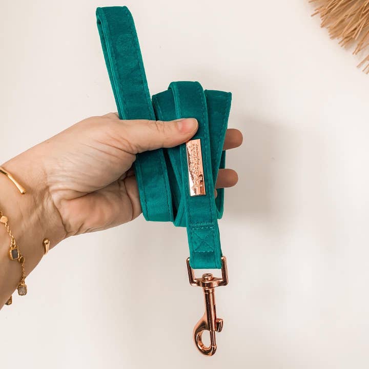 The Spotted Dog Company – Großhandel Leine – Hund – Jadefarbene Samt-Hundeleine mit roségoldenem Beschlag