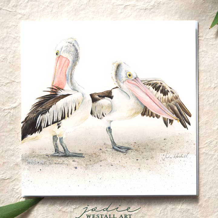 'Eftermiddagslys' pelikaner - lykønskningskort for engroshandel hos Jodie Westall Art