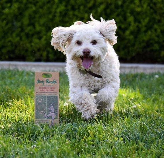 BeLoved, Natural Dog Grooming Products. - Wholesale Pet Supplement - Dog - Dog Rocks - Stop pet urine burns on grass...naturally!9