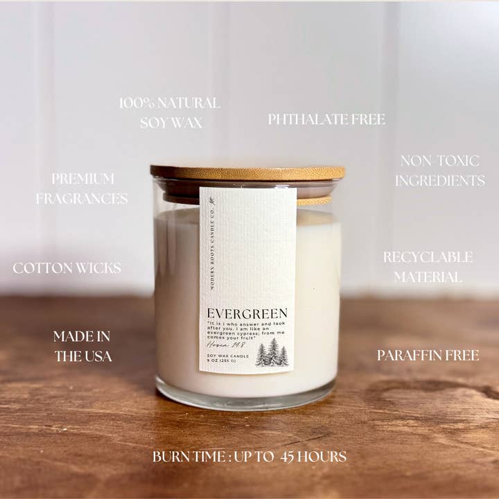 Modern Roots Candle Co. - Wholesale Jar/Filled Candle - Evergreen | Fraser Fir | 9oz Soy Wax Candle2