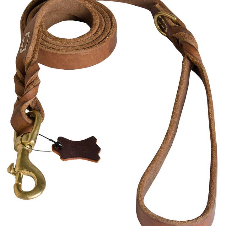 Laisse pour chien en cuir Ultimate Professional améliorée pour la vente par FDT Global LLC