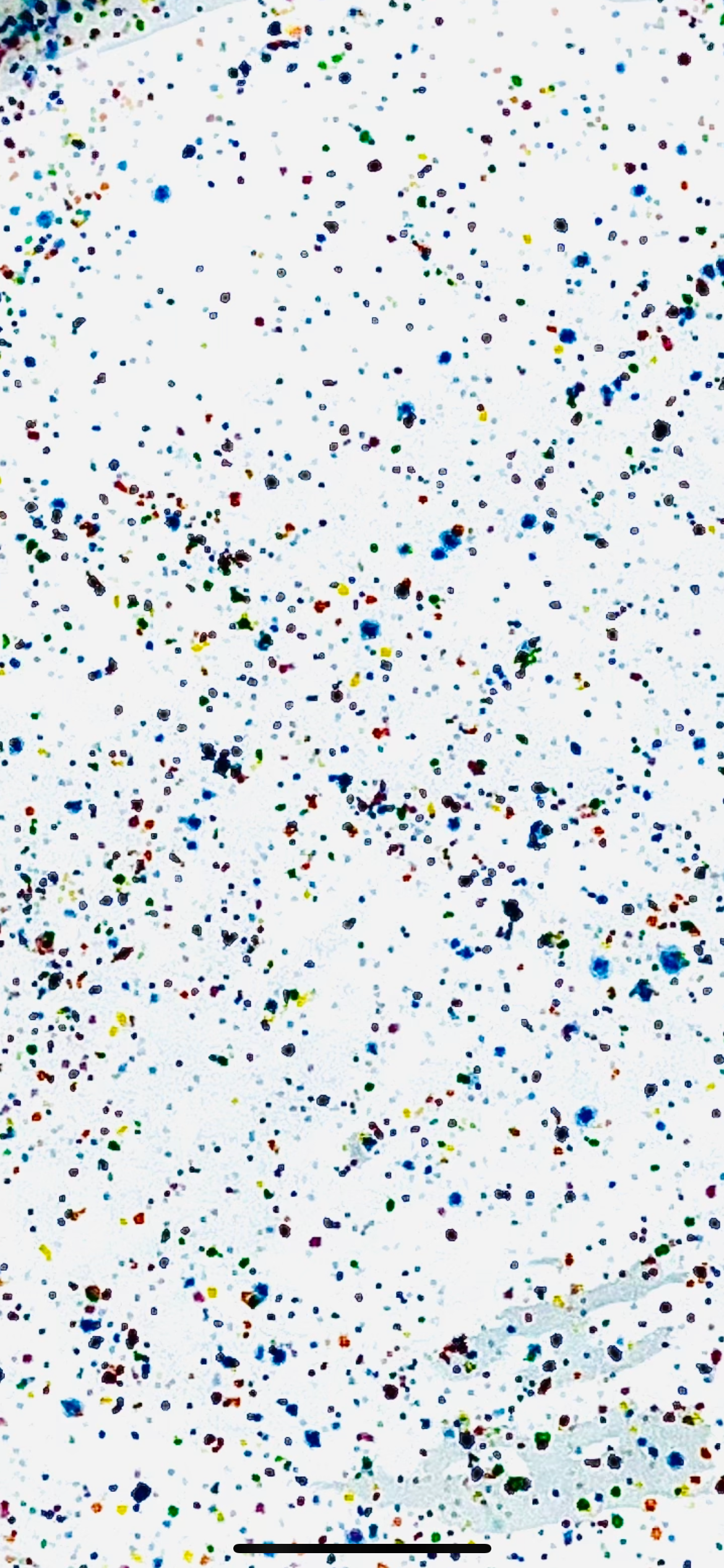 Nori’s Wishes – Großhandel Gewürz-/Dipschale – Salsa-Schüsseln2