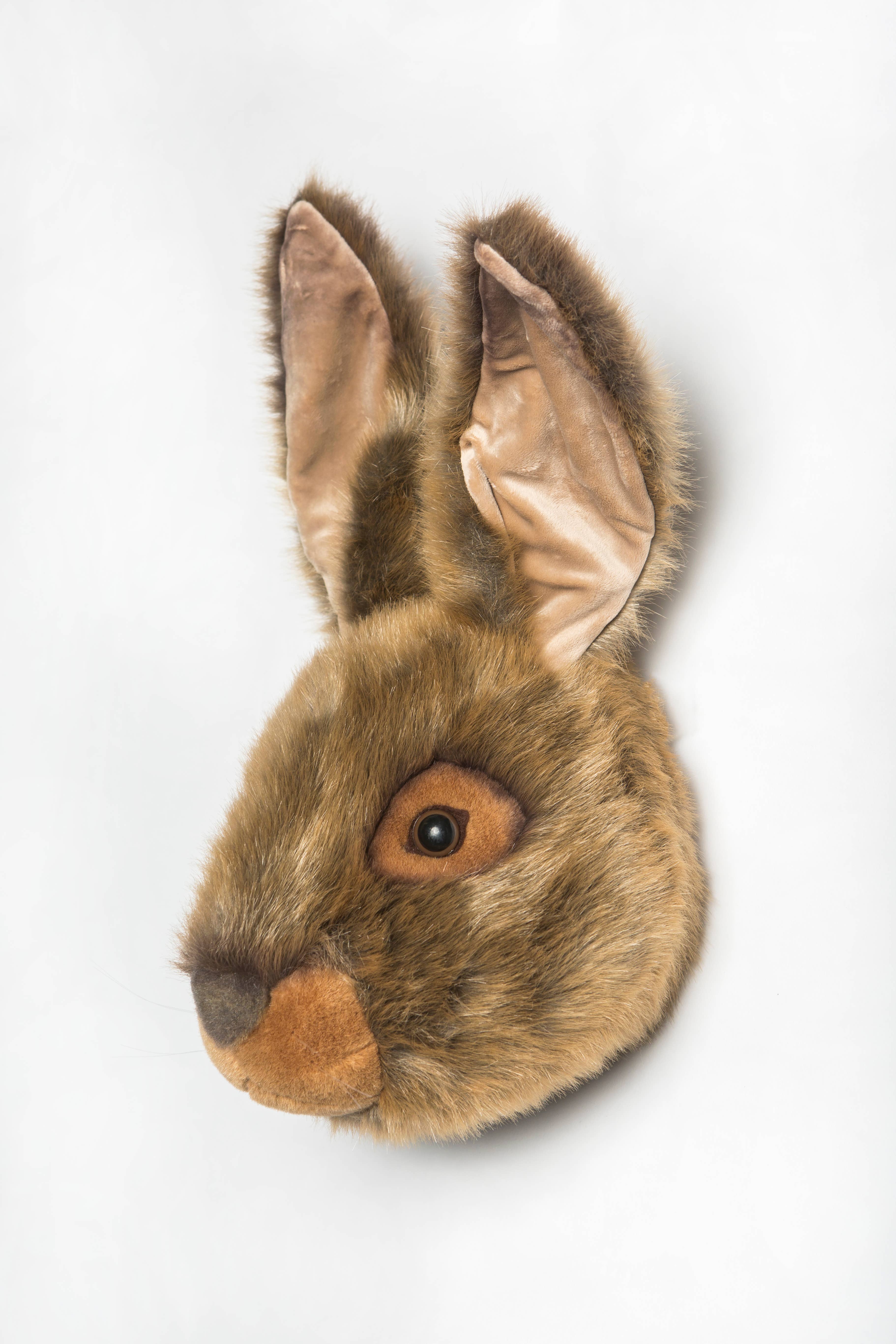 WILD & SOFT - Wholesale Wall Accent - Lewis the Hare: Wall deco1