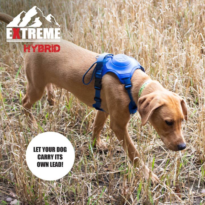 Ancol Pet Products Ltd – Arnês – Cão por atacado – Arnês Híbrido Extreme Aqua Azul5