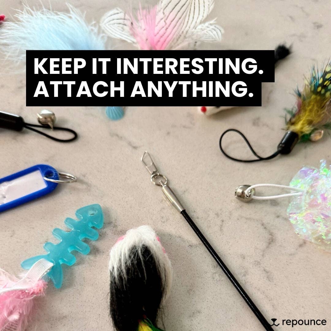 Repounce - Wholesale Pet Toy - Cat - Forever Stick™ - The Unbreakable Cat Wand8