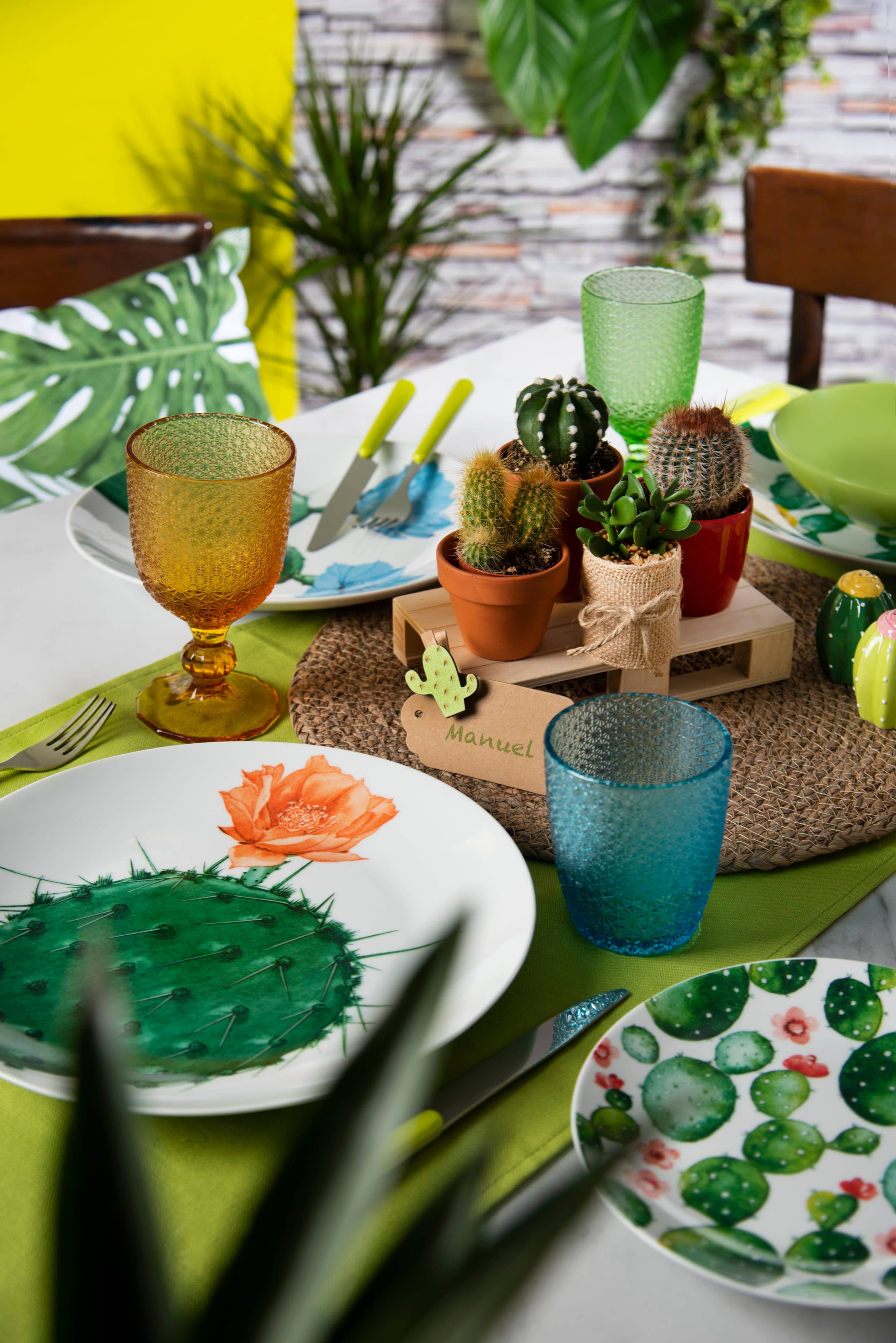 multicolour 18-Piece Dinnerware Set Color Cactus for wholesale on Faire9