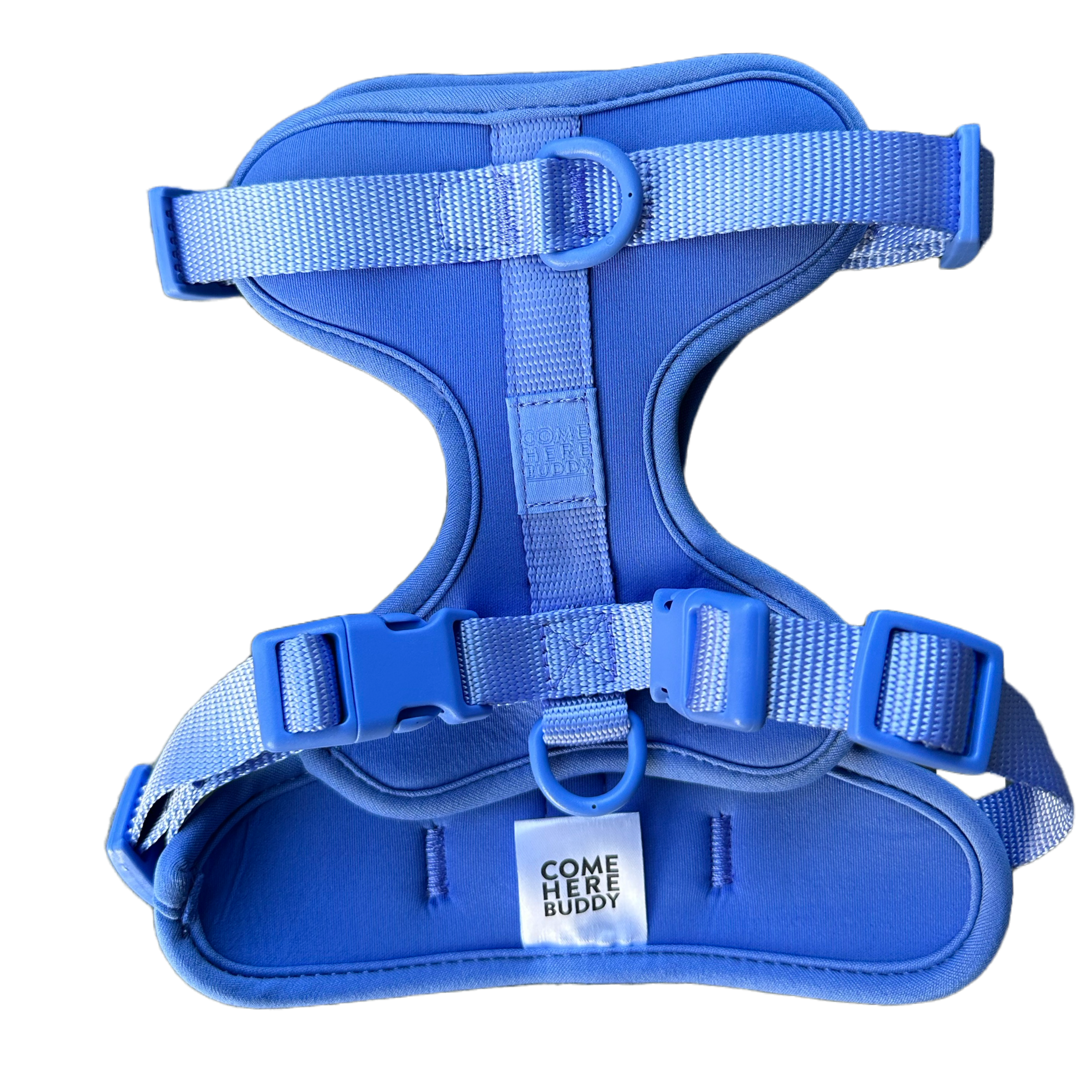 Come Here Buddy – Großhandel Haustiergeschirr – Hund – Leichter, verstellbarer gepolsterter Hundegeschirr15