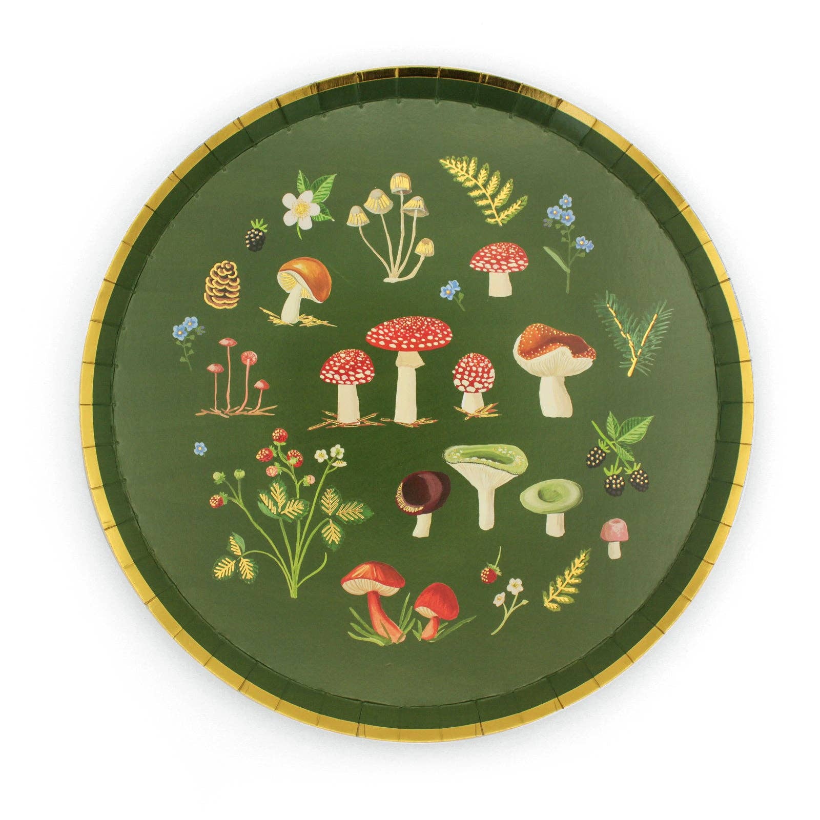 Hen Paper Co. – wholesale Disposable plate – Woodland Wonders Dinner Plate (Set of 10)0