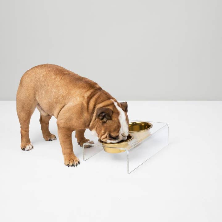 Hiddin - Wholesale Pet Bowl - Cat/Dog - Slant Gold Feeder1