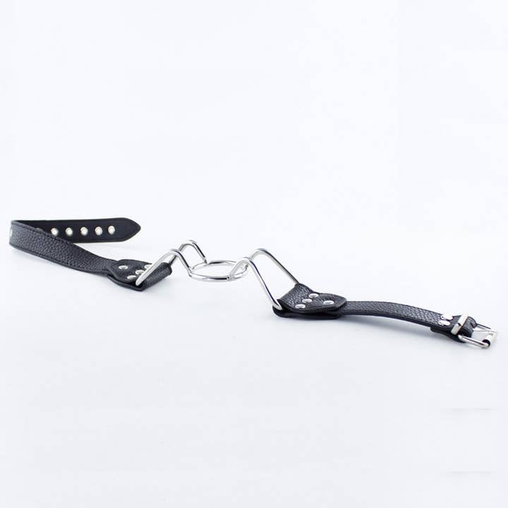 Plesur Body Products - Wholesale Sex Toy - Spider Gag Ball Gag 5