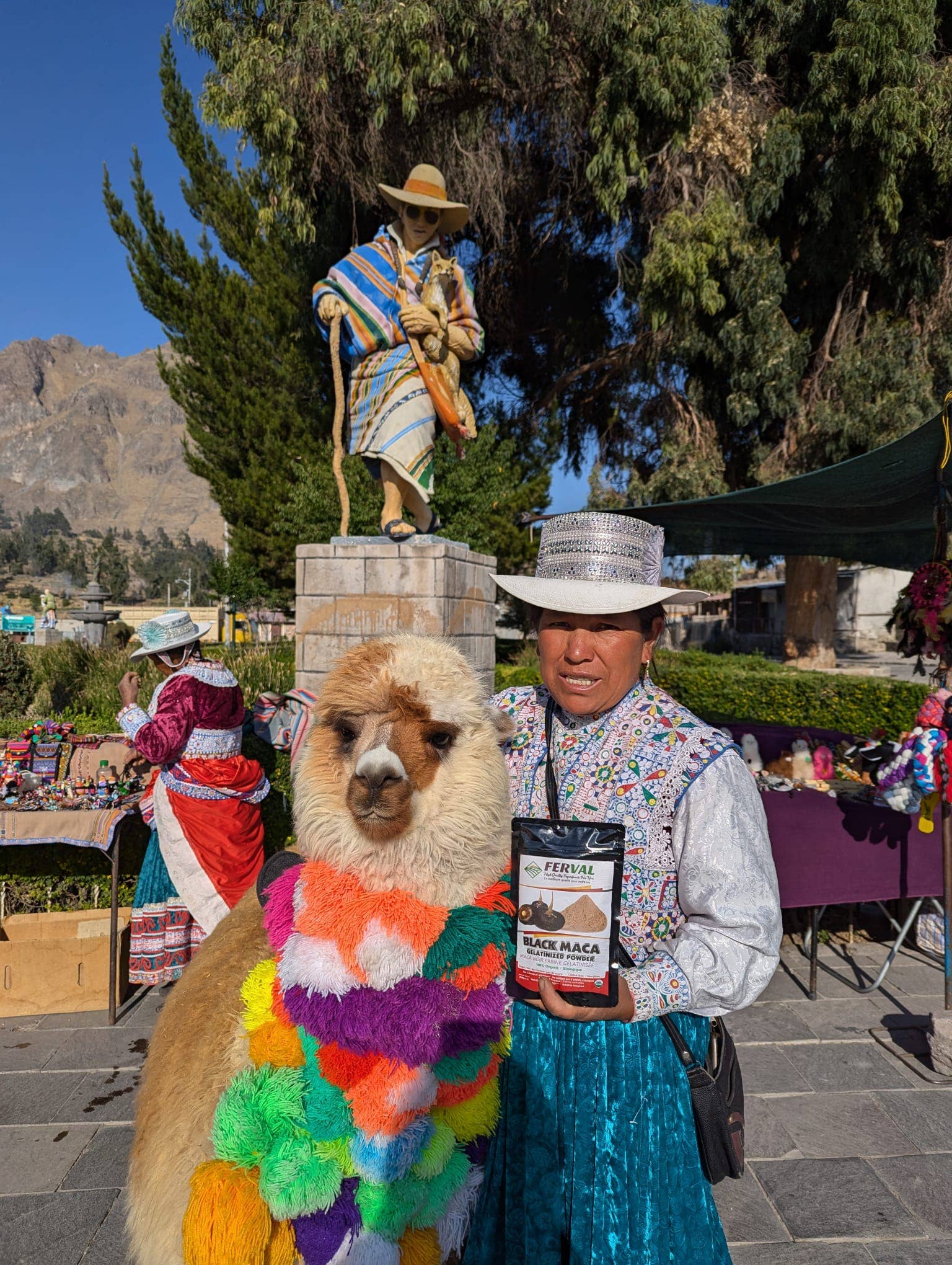 Ganesa Trading – Großhandel Protein-/Superfood-Pulver – Bio-Schwarzes Maca-Pulver Importiert aus Peru, USDA.4