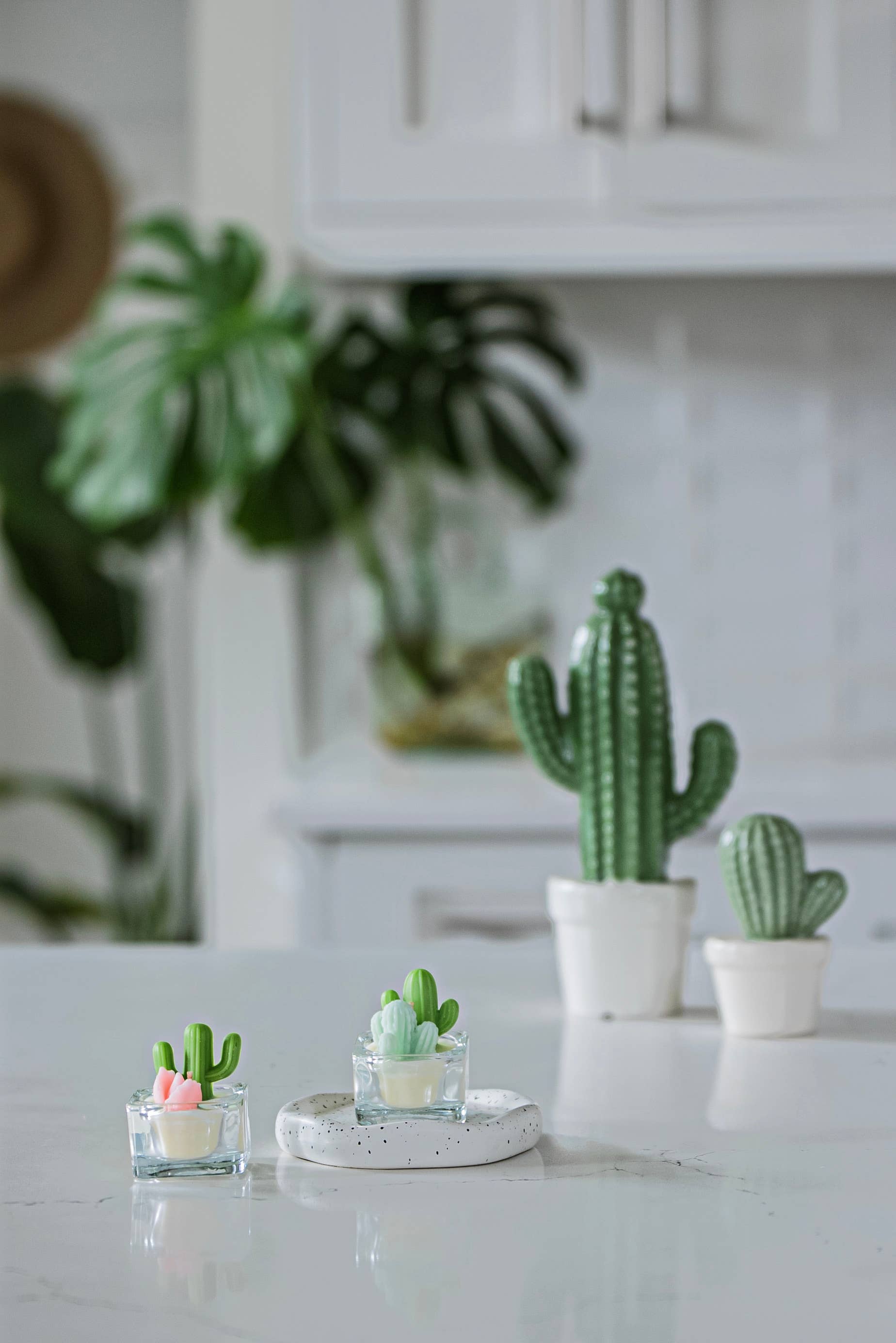 ZOETSTUDIO - Wholesale Novelty Candle - Cactus & Succulent Tealight Candles | Soy Wax Blend5
