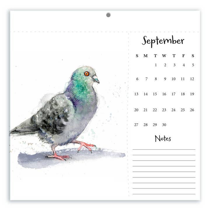 Christy Obalek Illustration - Wholesale Calendar - 2026 Wall Calendar Funny Painted Birds Tear-off Postcard4