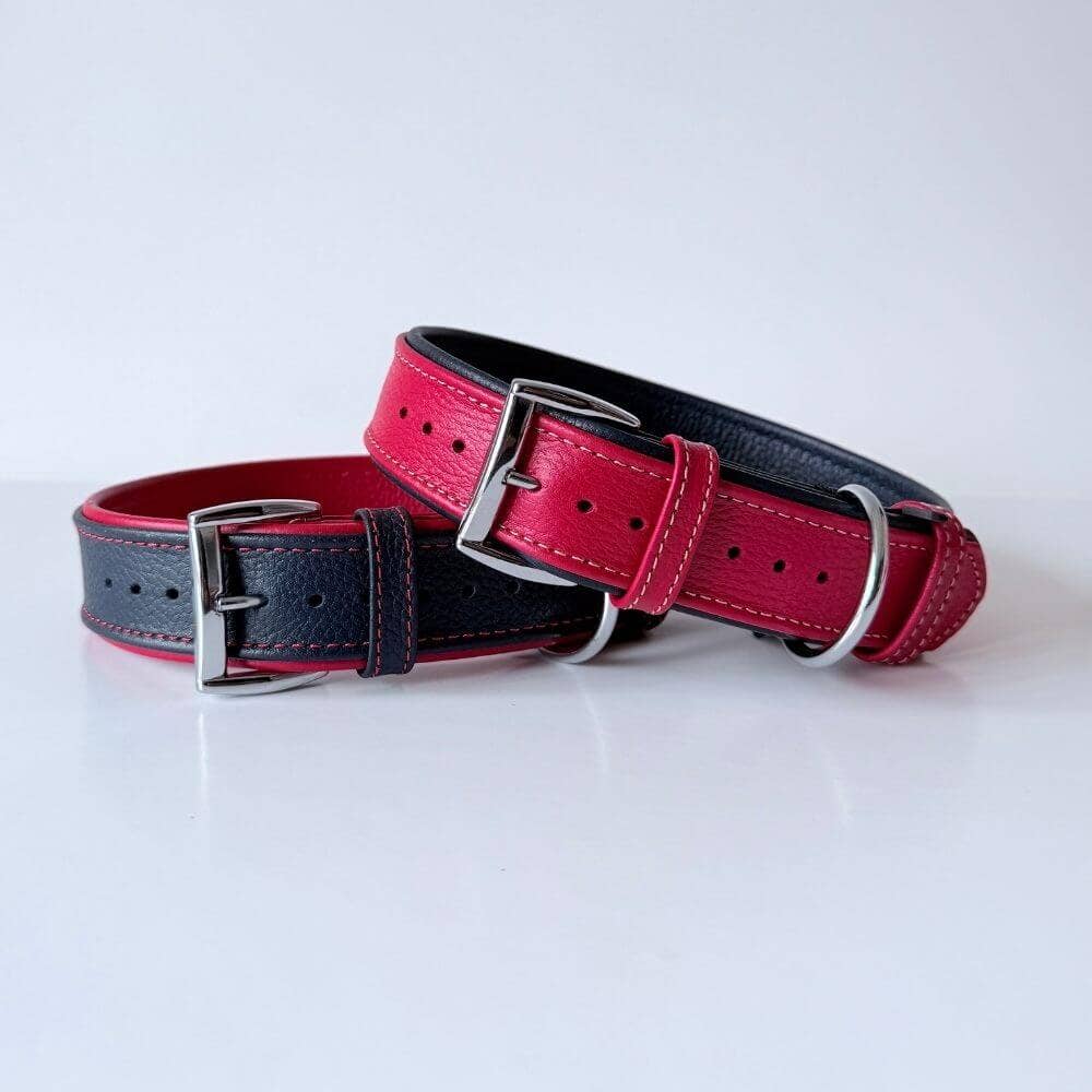 GAD Roots – Engroshandel Halsbånd - Hund – Premium polstret flyder læder hundehalsbånd – Rød & Marineblå3