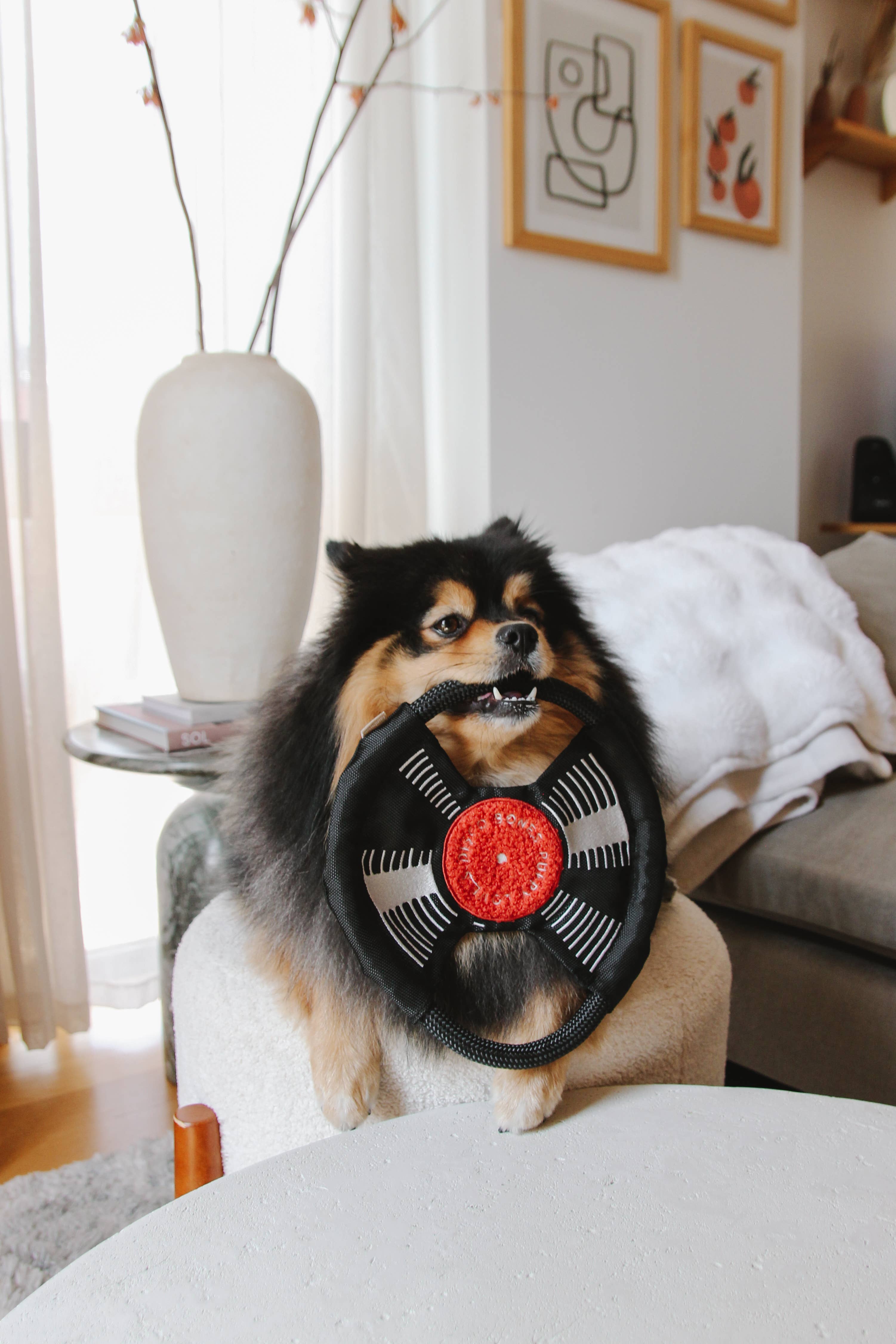 Lambwolf Collective - Wholesale Pet Toy - Dog - BARK TO BEAT //ENRICHMENT DOG TOY 5