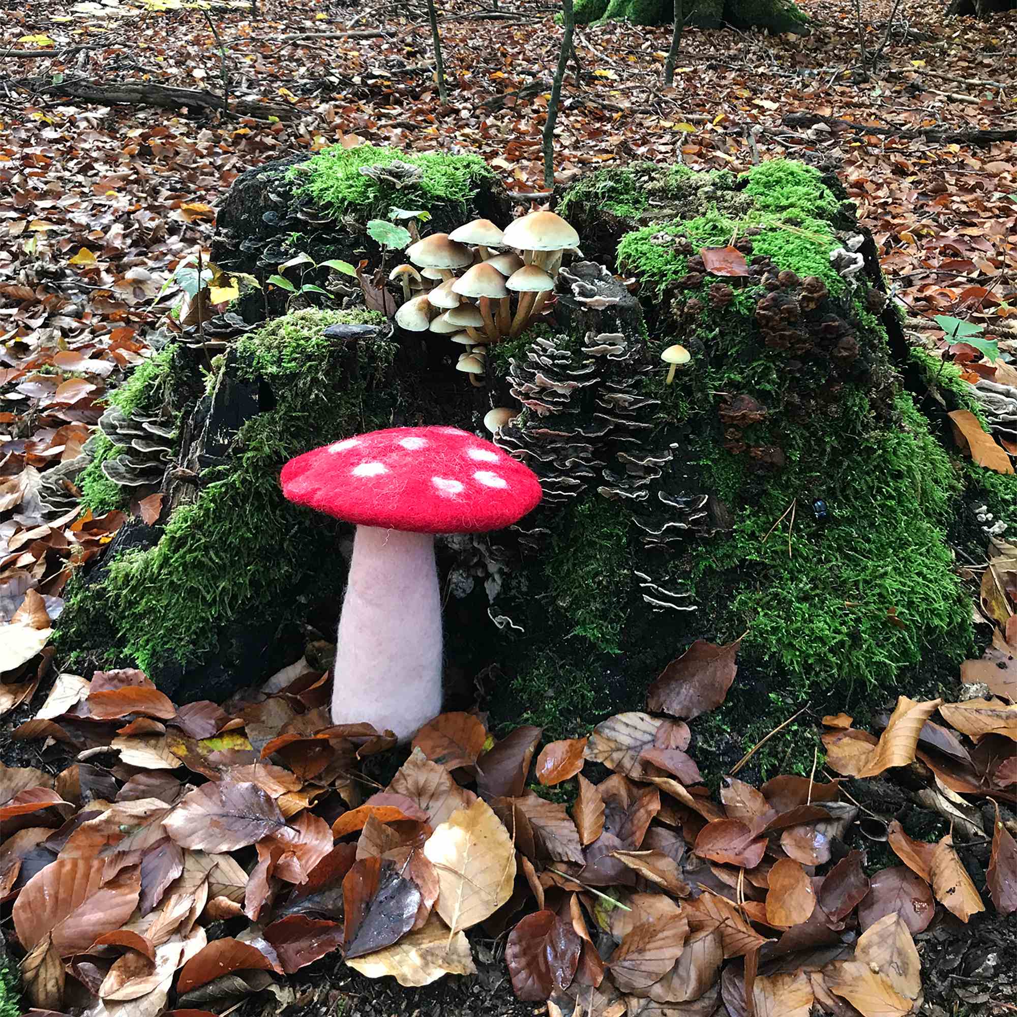 Tribal Trade GmbH - Vendita all'ingrosso Statuette decorative - Fungo amanita muscaria in feltro rosso, disponibile in 3 dimensioni12