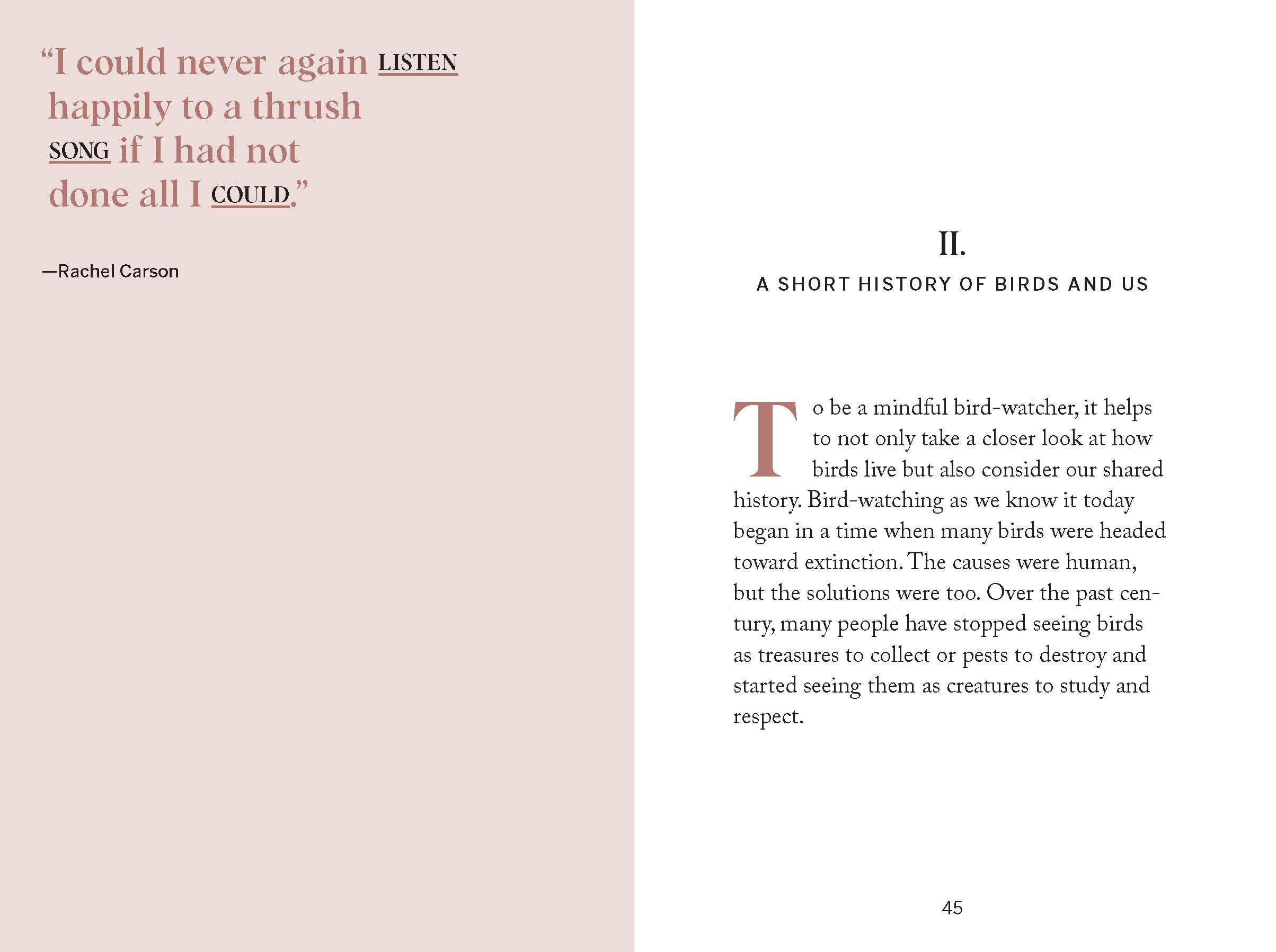 Chronicle Books - Wholesale Nature & Outdoors Book - Pocket Nature: Bird-Watching2