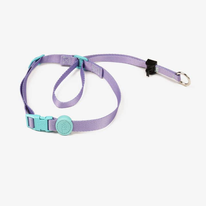 Toh - Wholesale Pet Collar - Dog - Coleira de Cabeça para Cão Lilás