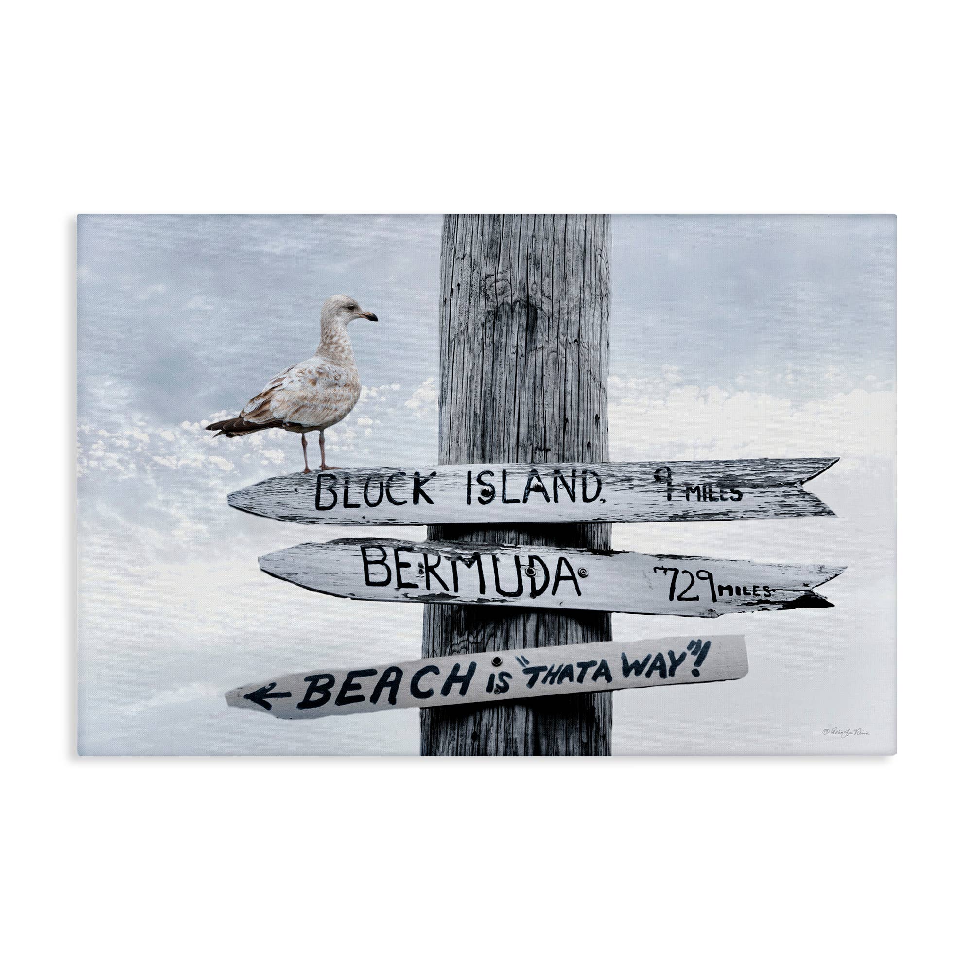 Stupell Industries - Wholesale Wall Sign - Vacation Beach Signs with Seagull - Unframed Wall Art8