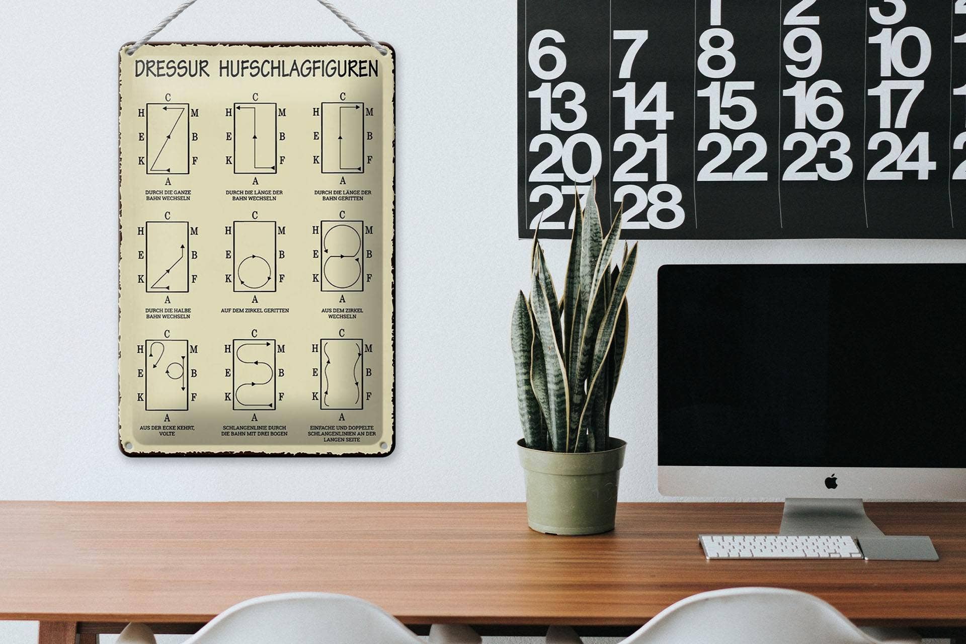 Femer - Wholesale Sign - Tin Sign 20x30cm Dressage Hoof Strikes Horse Dressage Rider3