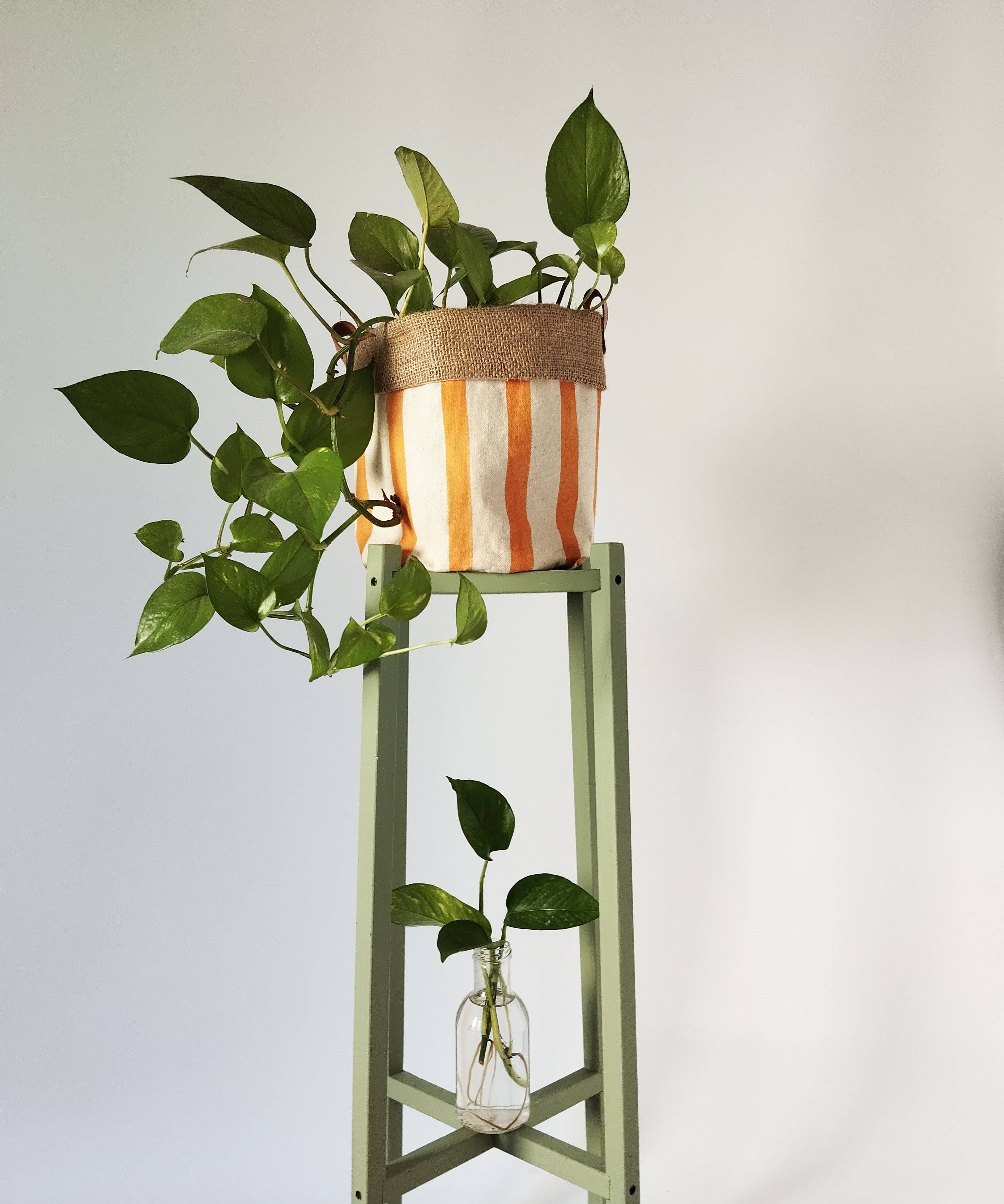 The Ink Job – Engroshandel Plantekrukke – Mellemstor indendørs plantepotte med striber3