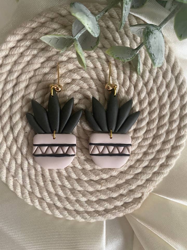 Plante en pot pour la vente par Rachel Ray Co