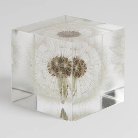 ¡NUEVO! CUBO DE FLORES MOMENTO Diente de león - Sé ligero para venta al por mayor de L10 Brand EU