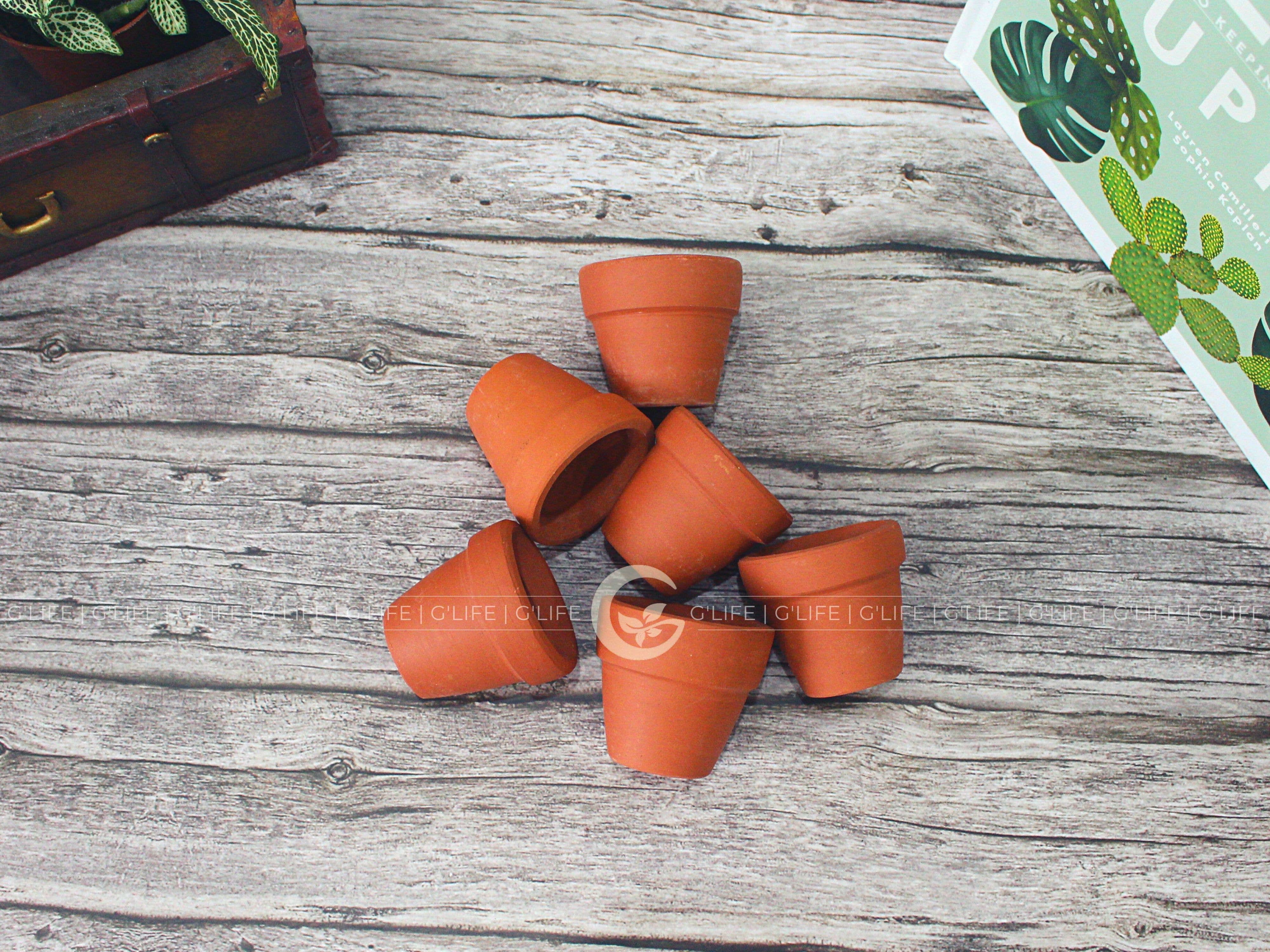 GLifee - Wholesale Plant Pot - 2" Tiny Terracotta Clay Plant Flower Pot - Drainage Hole0