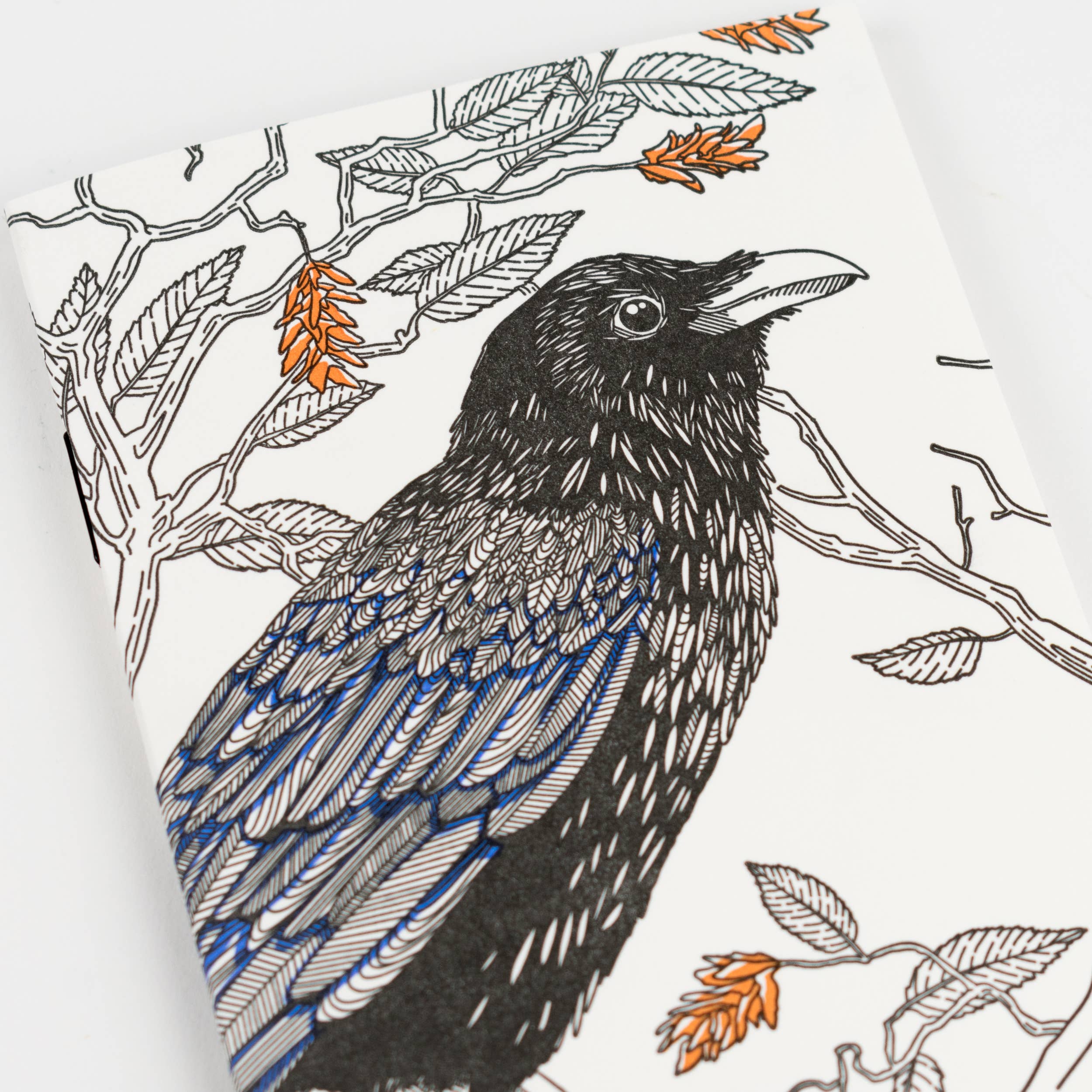 Porchlight Press Letterpress - Wholesale Notitieboekje - Common Raven Pocket Notitieboek - West Coast Birds1