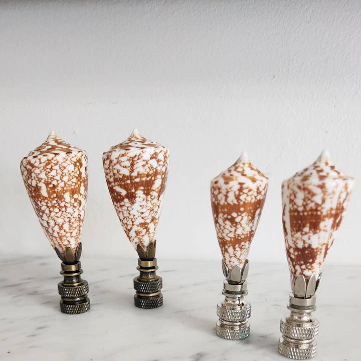 Par, remate de lámpara de concha marina marrón y blanca, juego de 2 para venta al por mayor de White Tulip Boutique