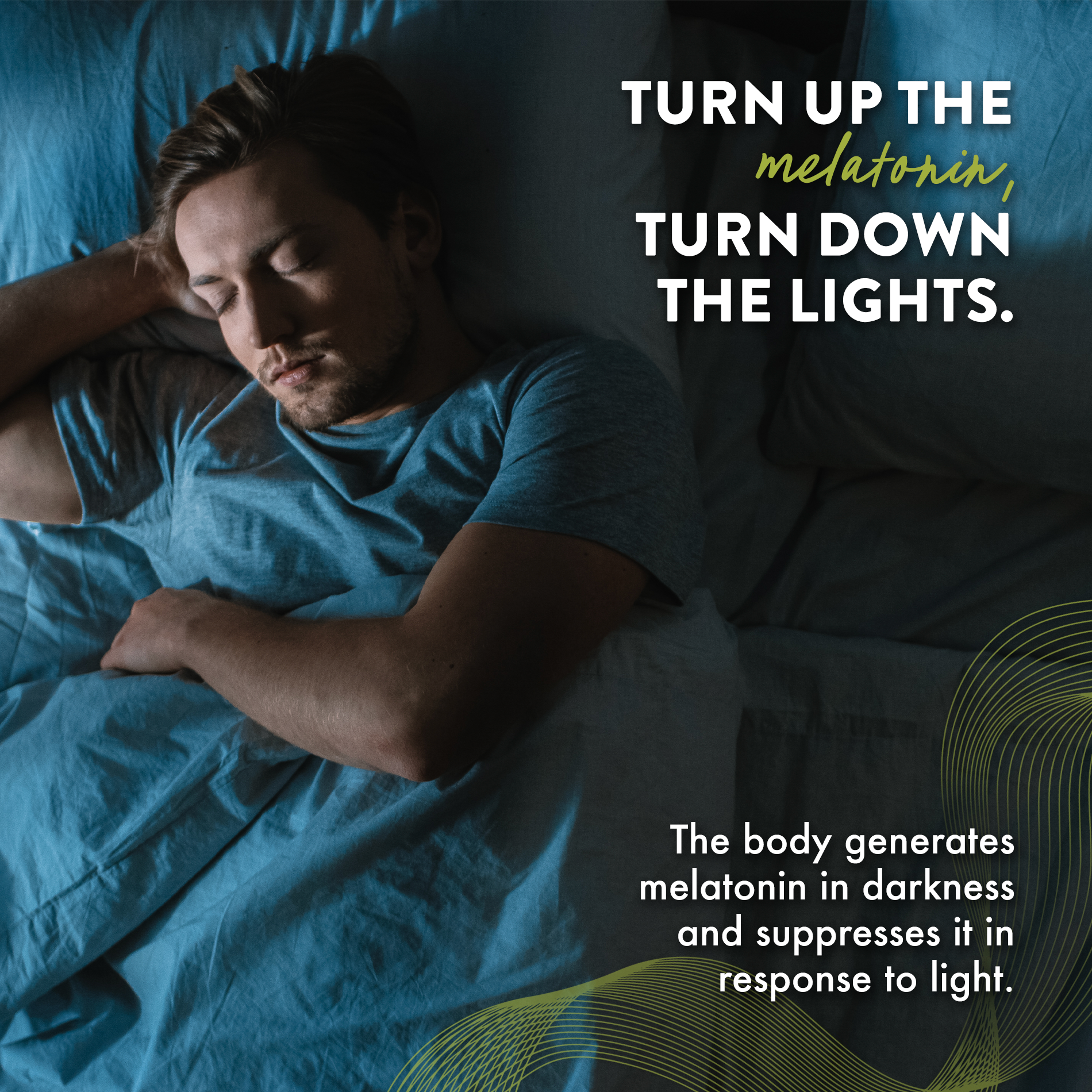 Mt. Angel Vitamins - Wholesale Oral Supplement/Vitamin - Mt. Angel Vitamins' Melatonin Wake/Sleep Dots - 60 Dots2