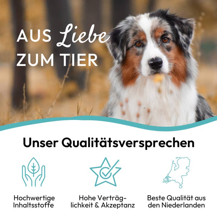 Kauartikel.com GmbH - Wholesale Pet Treats - Dog - PHA NaturSnack for dogs 200g