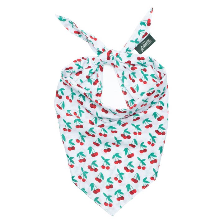 Bandeau pour chien Cherry Crush pour la vente par The Paws